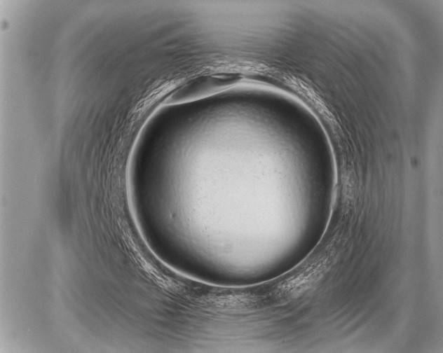 X0000086780433200704131218