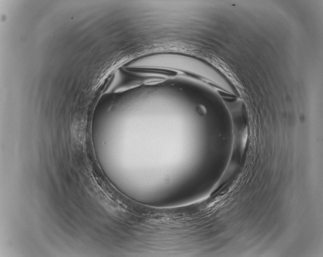 X0000086780434200704131218