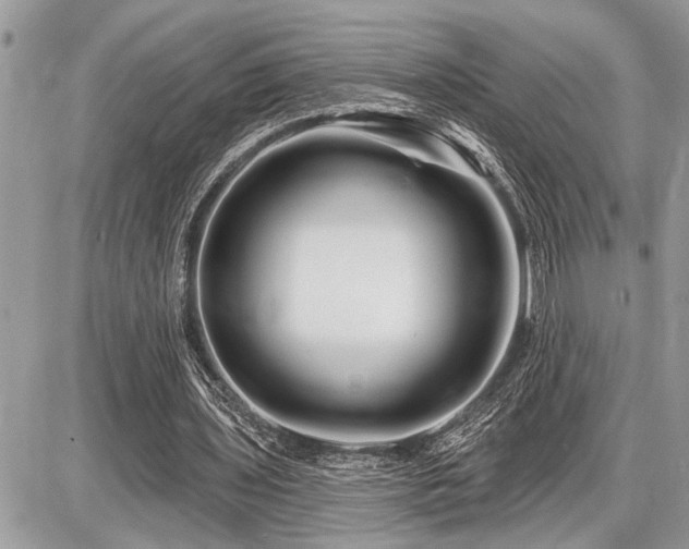 X0000086780435200704131218