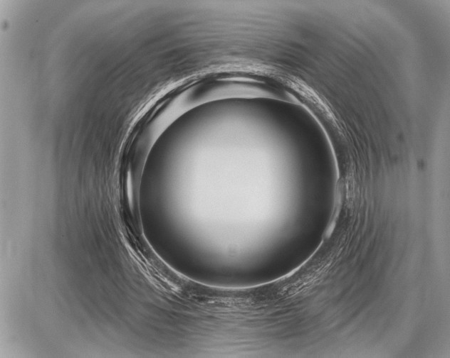 X0000086780436200704131218