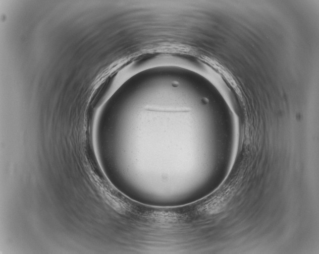 X0000086780437200704131218