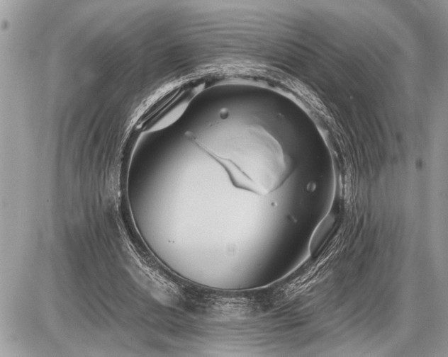 X0000086780438200704131218