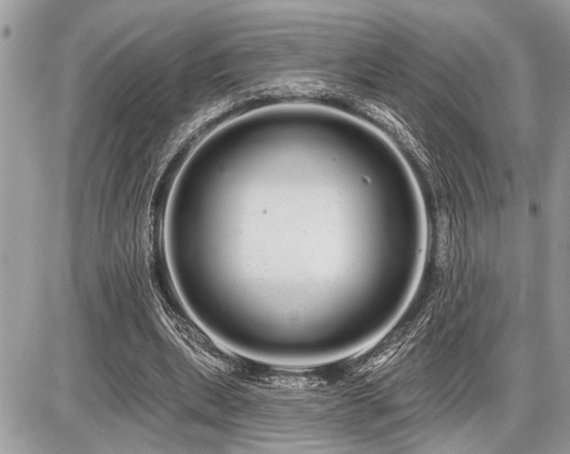 X0000086780439200704131218