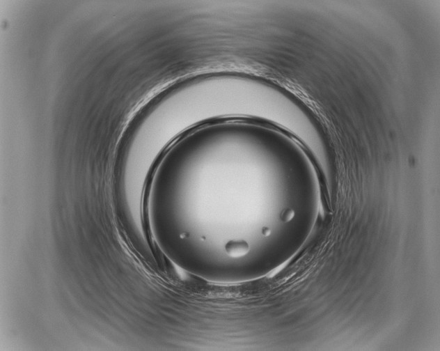 X0000086780440200704131218