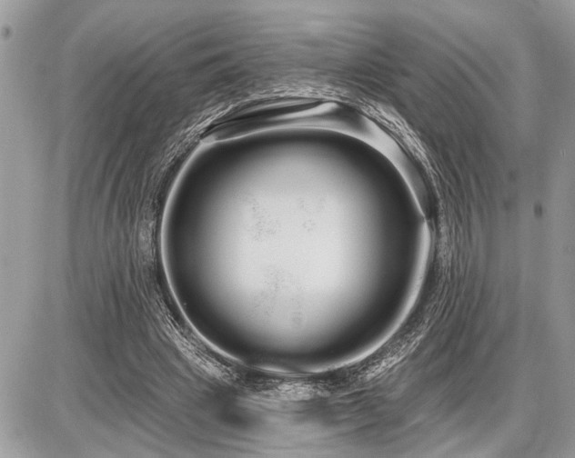 X0000086780441200704131218