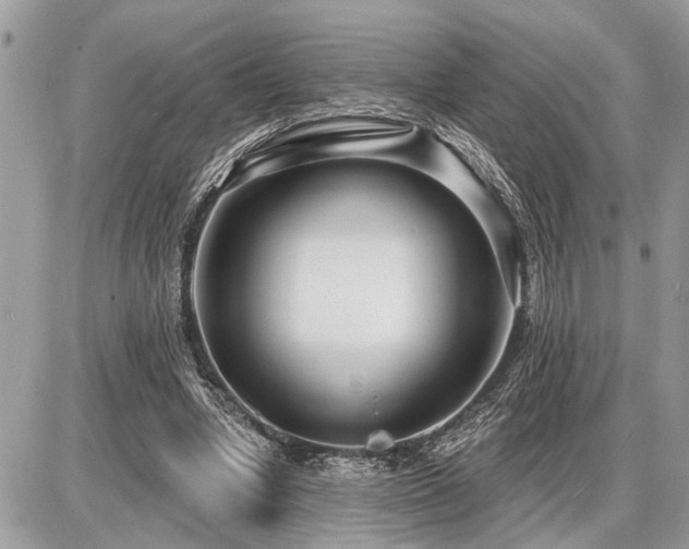 X0000086780442200704131218