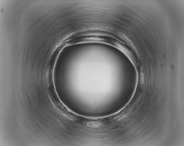 X0000086780444200704131218