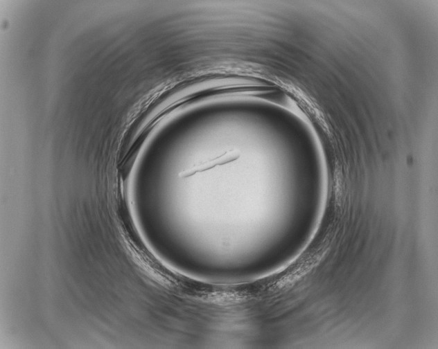 X0000086780445200704131218