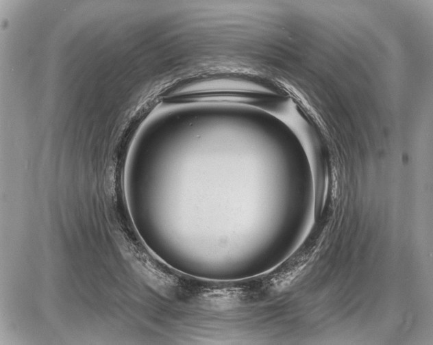 X0000086780447200704131218