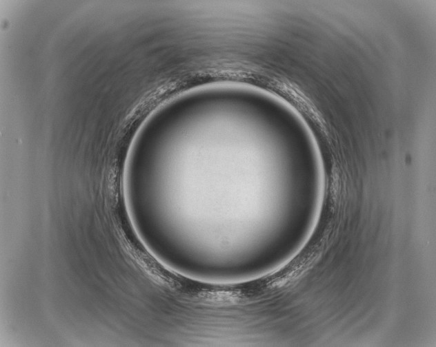 X0000086780449200704131218