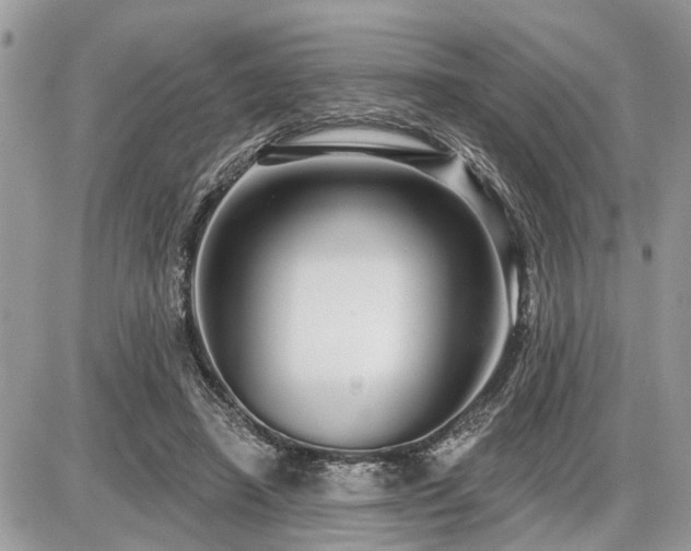 X0000086780450200704131218