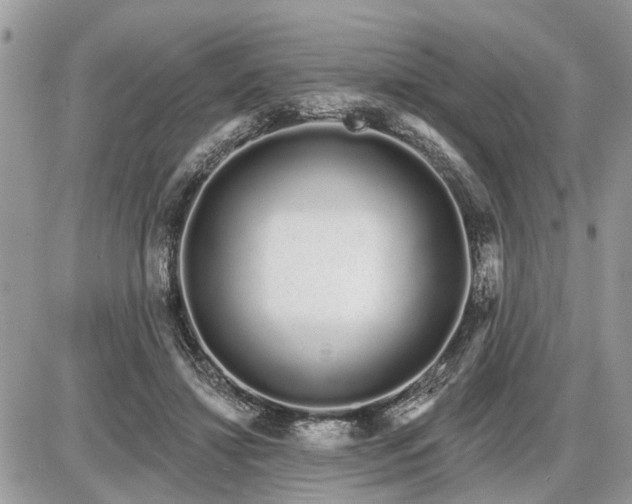 X0000086780452200704131218