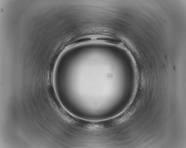 X0000086780453200704131218