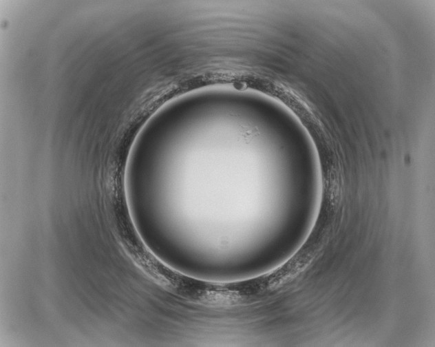 X0000086780455200704131218