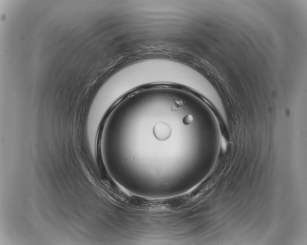 X0000086780456200704131218