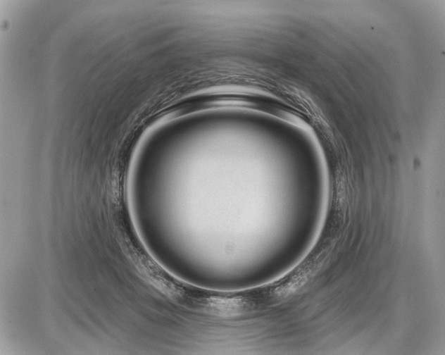 X0000086780457200704131218