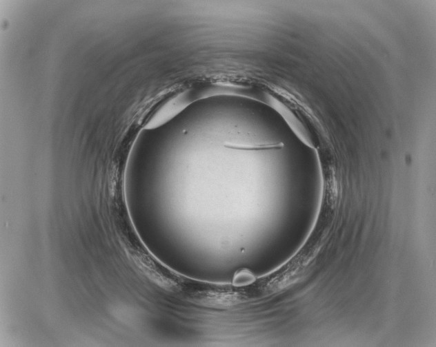 X0000086780458200704131219