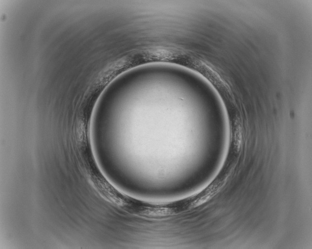 X0000086780459200704131219