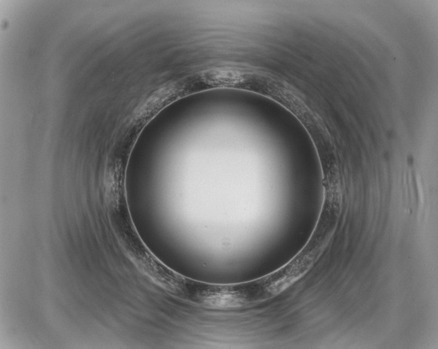 X0000086780460200704131219