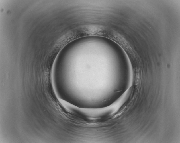 X0000086780461200704131219