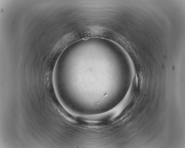 X0000086780462200704131219