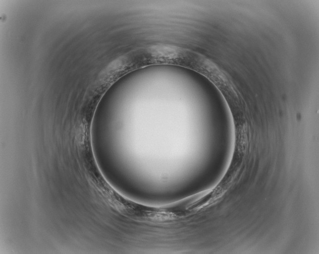 X0000086780463200704131219