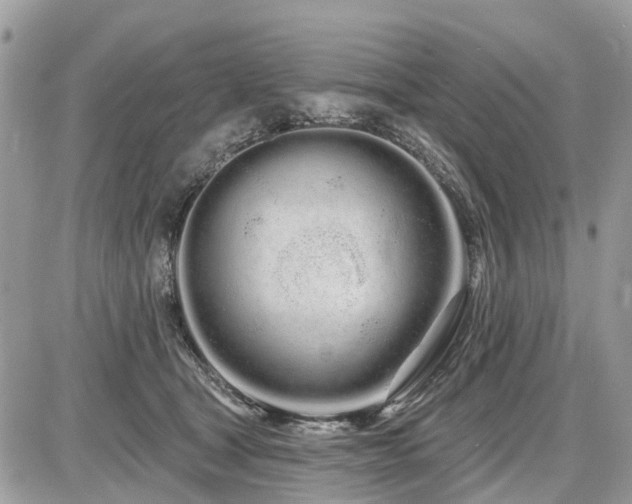 X0000086780465200704131219