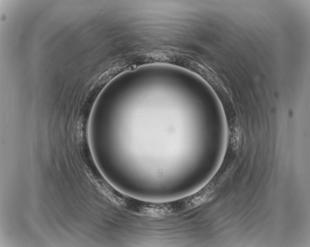 X0000086780466200704131219