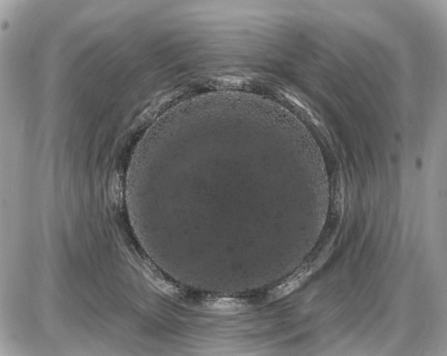 X0000086780467200704131219