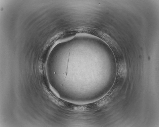 X0000086780470200704131219