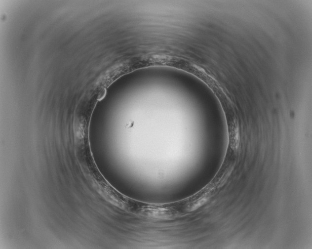 X0000086780472200704131219