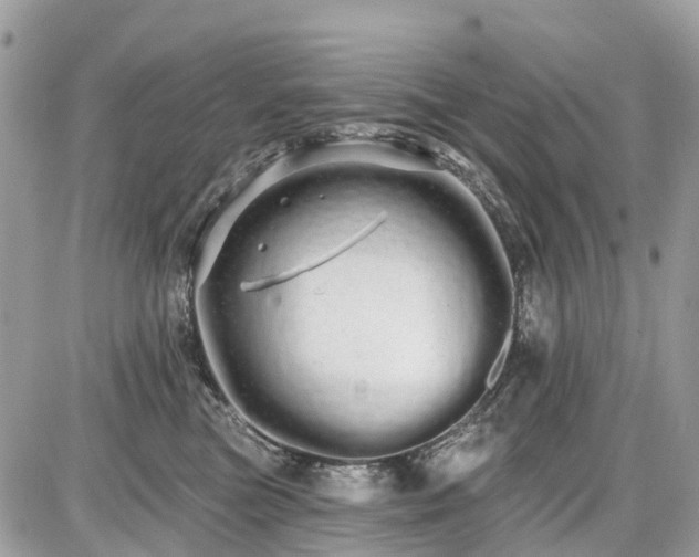 X0000086780473200704131219