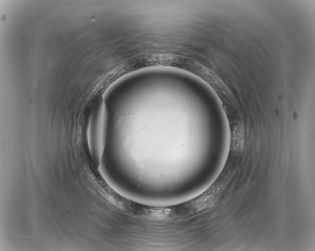 X0000086780474200704131219