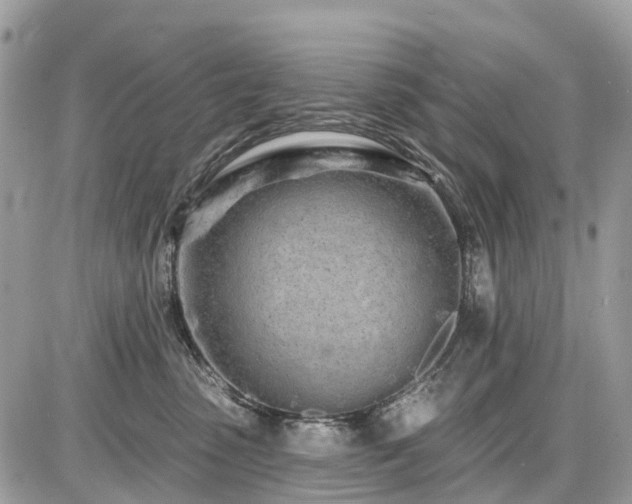 X0000086780475200704131219