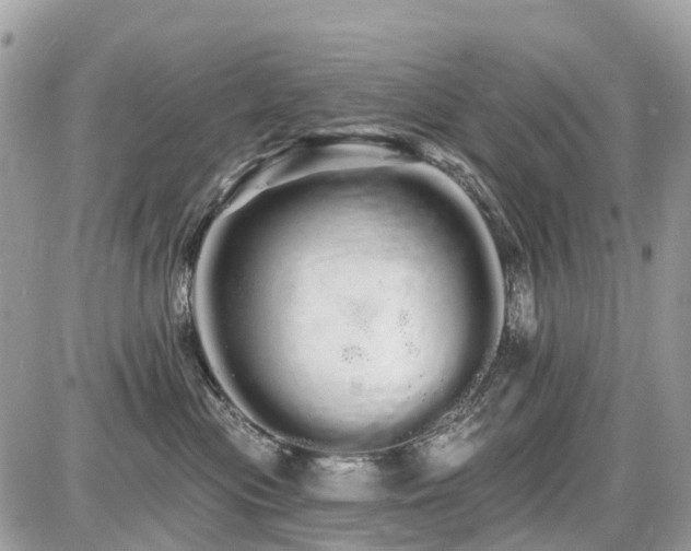 X0000086780477200704131219