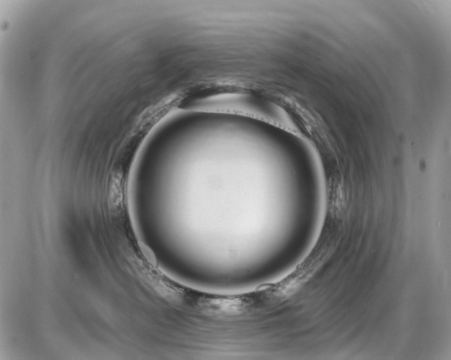 X0000086780478200704131219