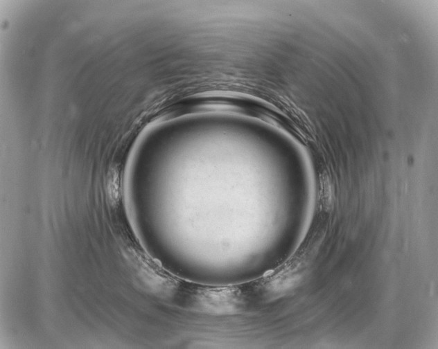 X0000086780479200704131219