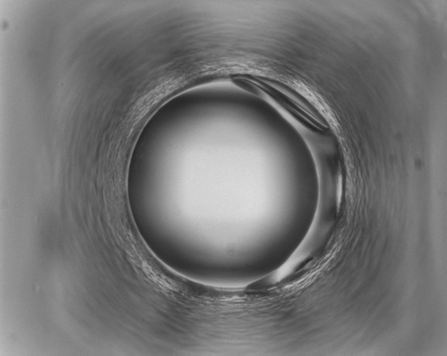 X0000086780481200704131218