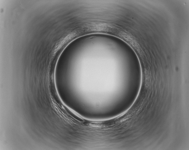 X0000086780482200704131218