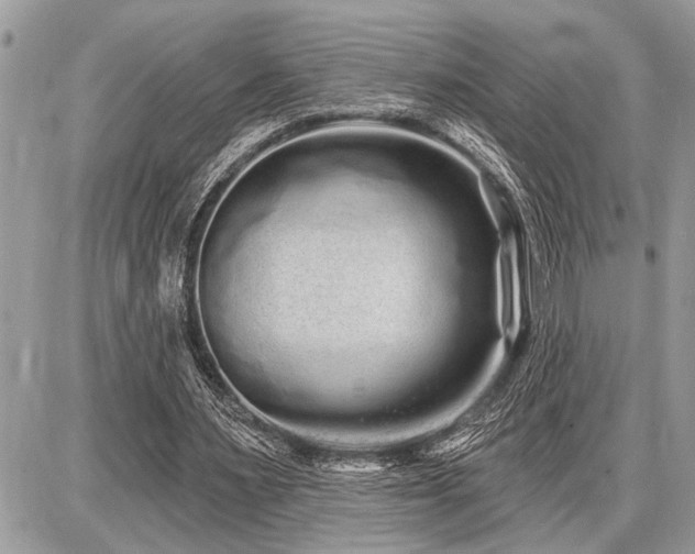 X0000086780483200704131218