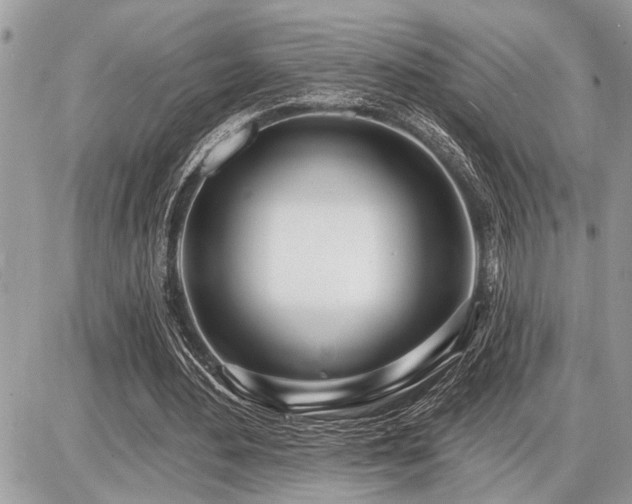 X0000086780484200704131218