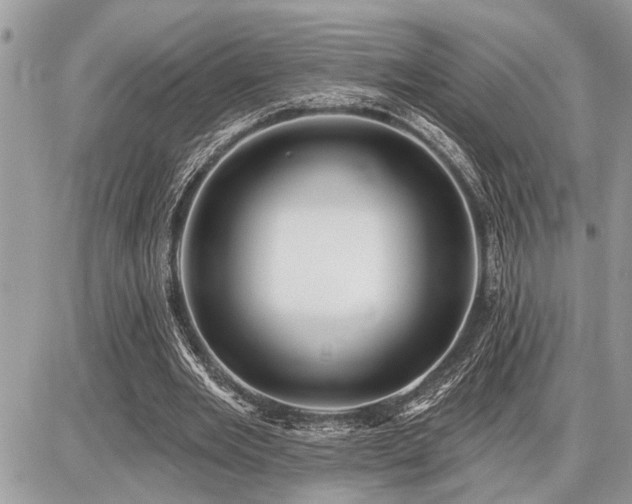 X0000086780485200704131218