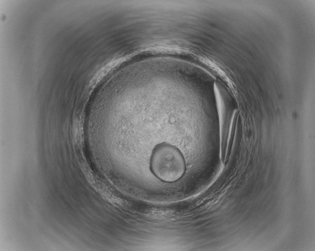 X0000086780487200704131218