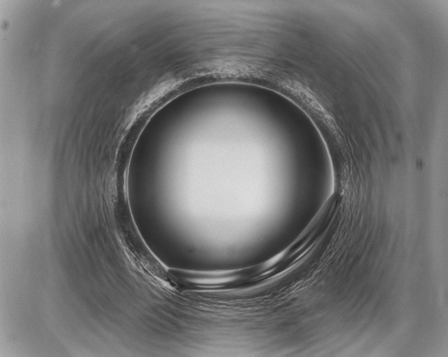 X0000086780488200704131218