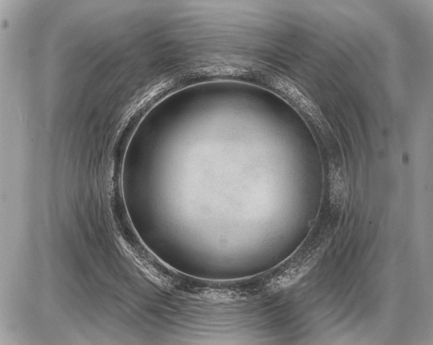 X0000086780490200704131218