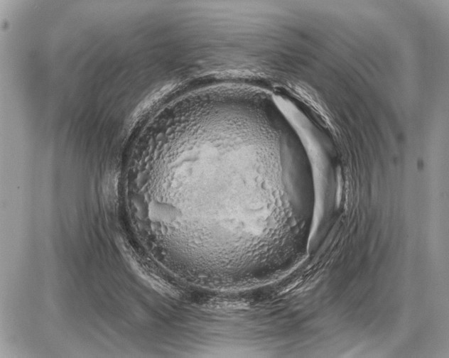 X0000086780491200704131218