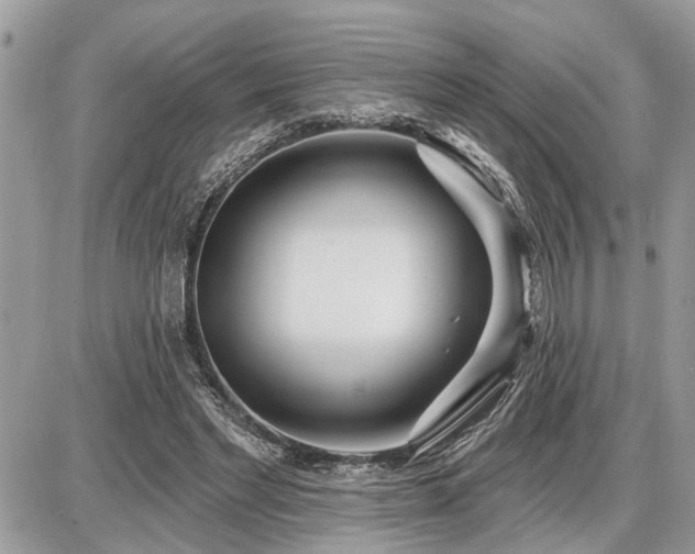 X0000086780493200704131218