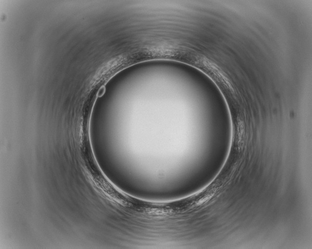 X0000086780494200704131218