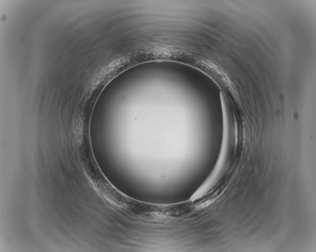 X0000086780496200704131218