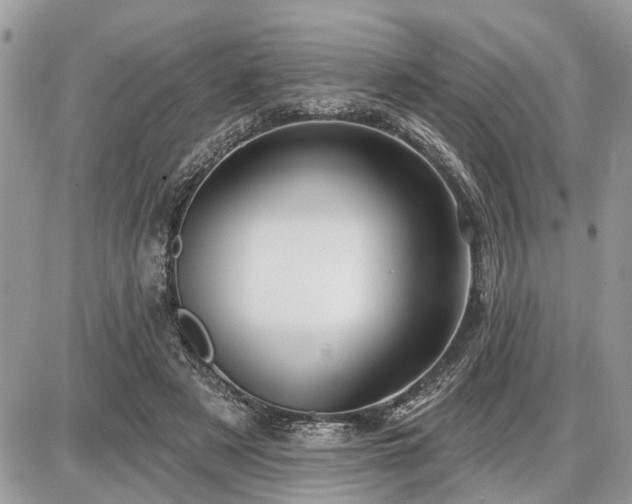 X0000086780497200704131218